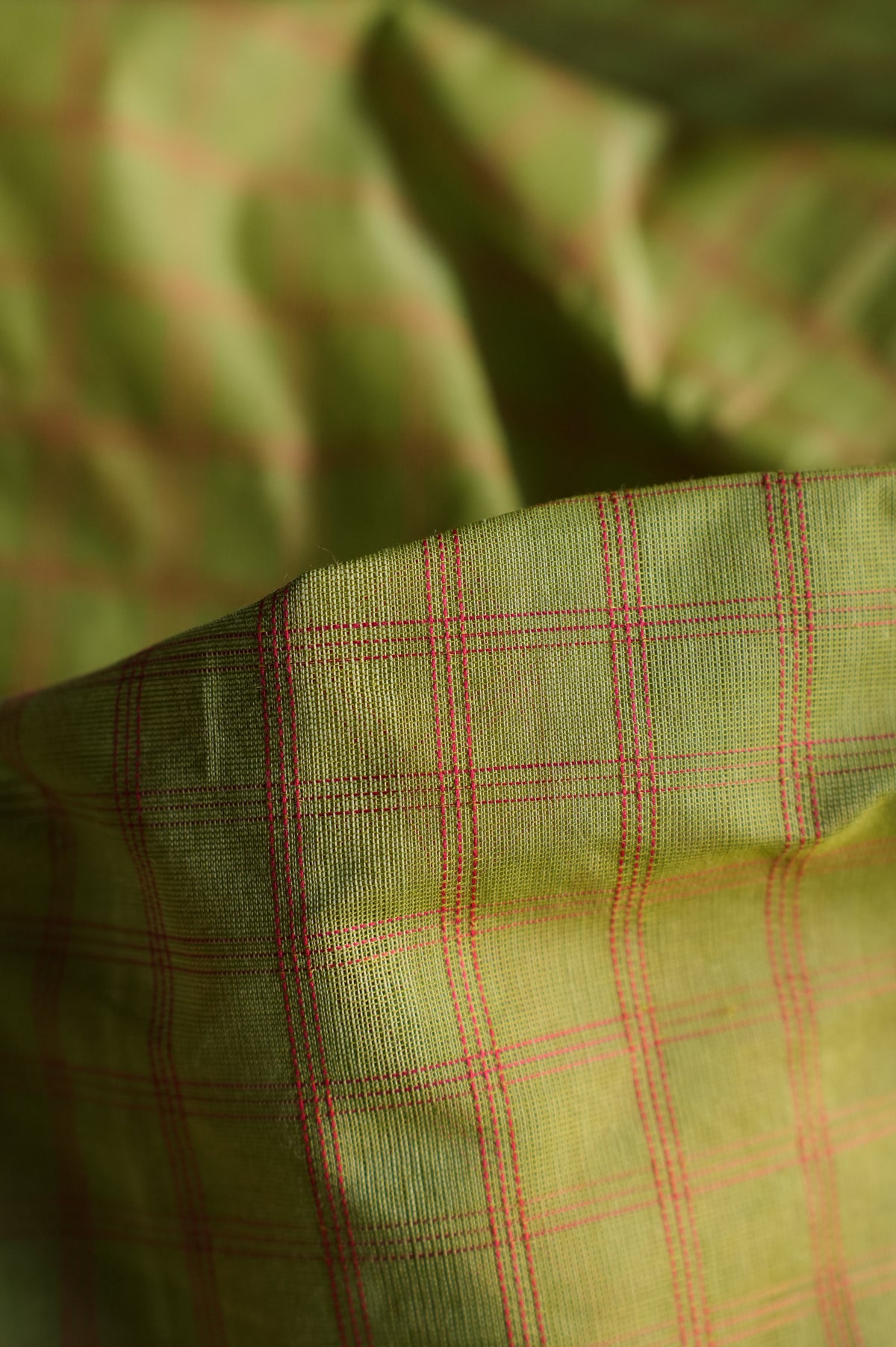 Light Green Kanchi Cotton With Deep Pink And Blue Border Saree
