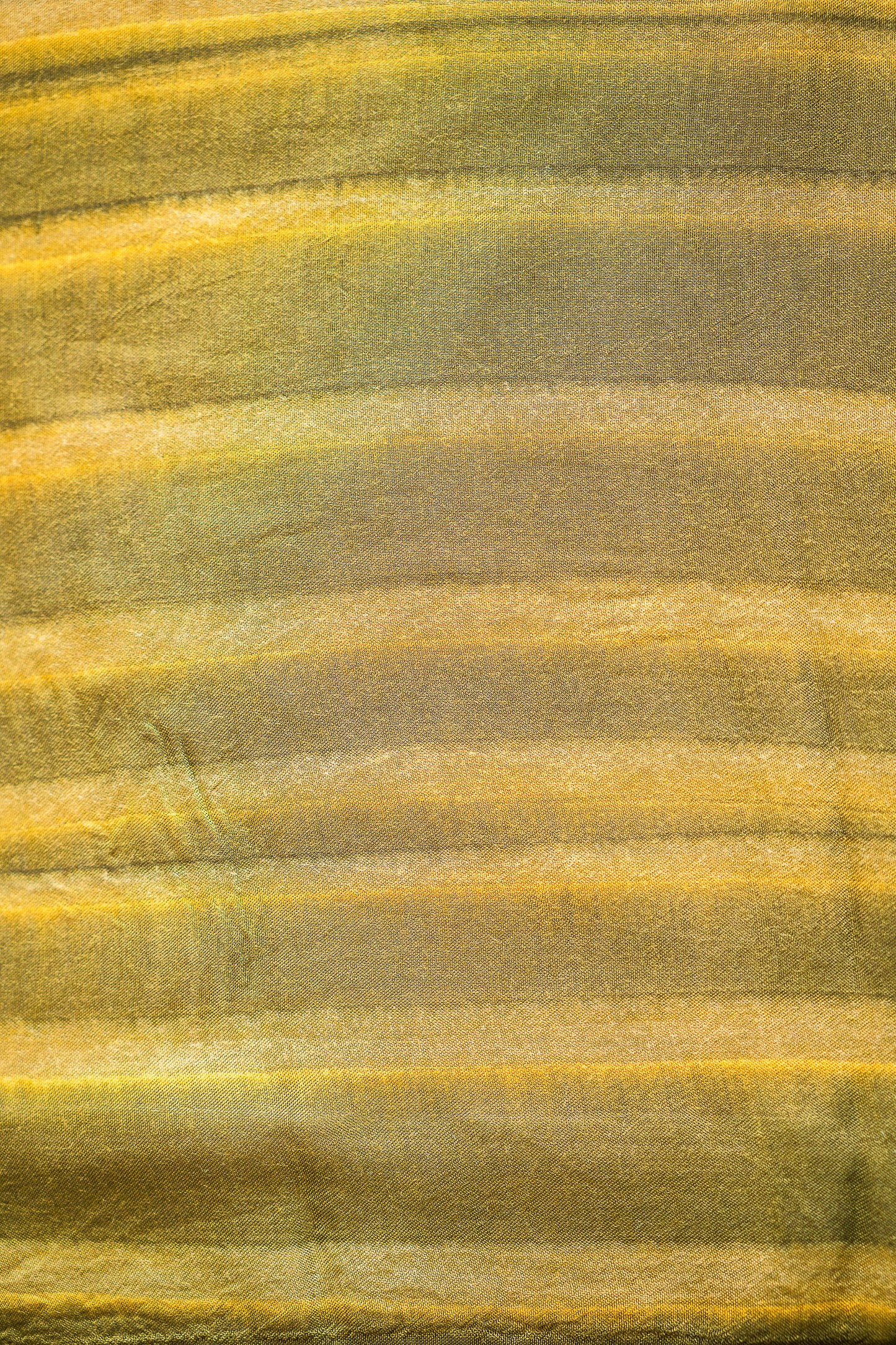 Olive Green Organza Saree with Woven Stripes