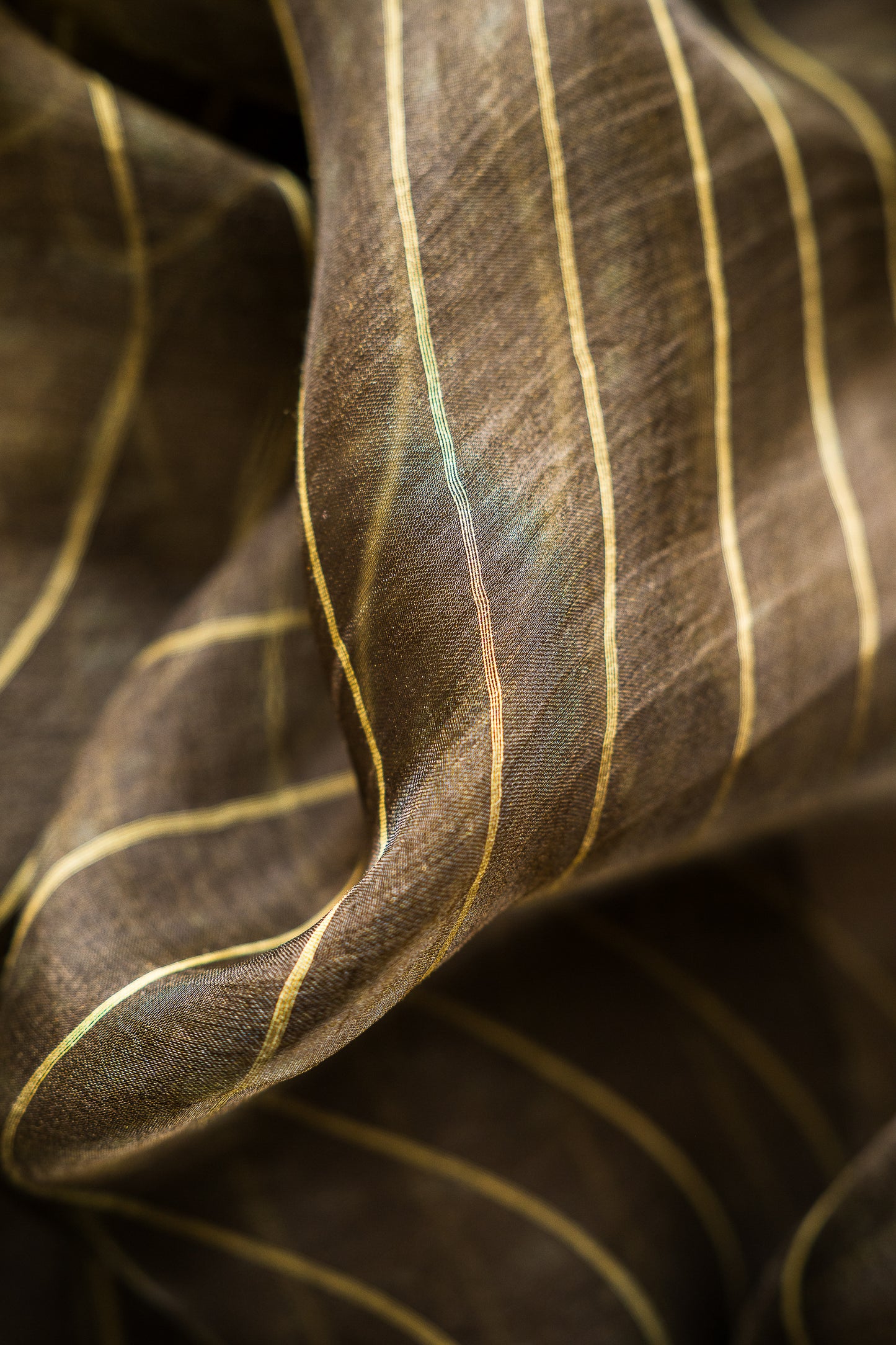 Olive Green Organza Saree with Woven Stripes