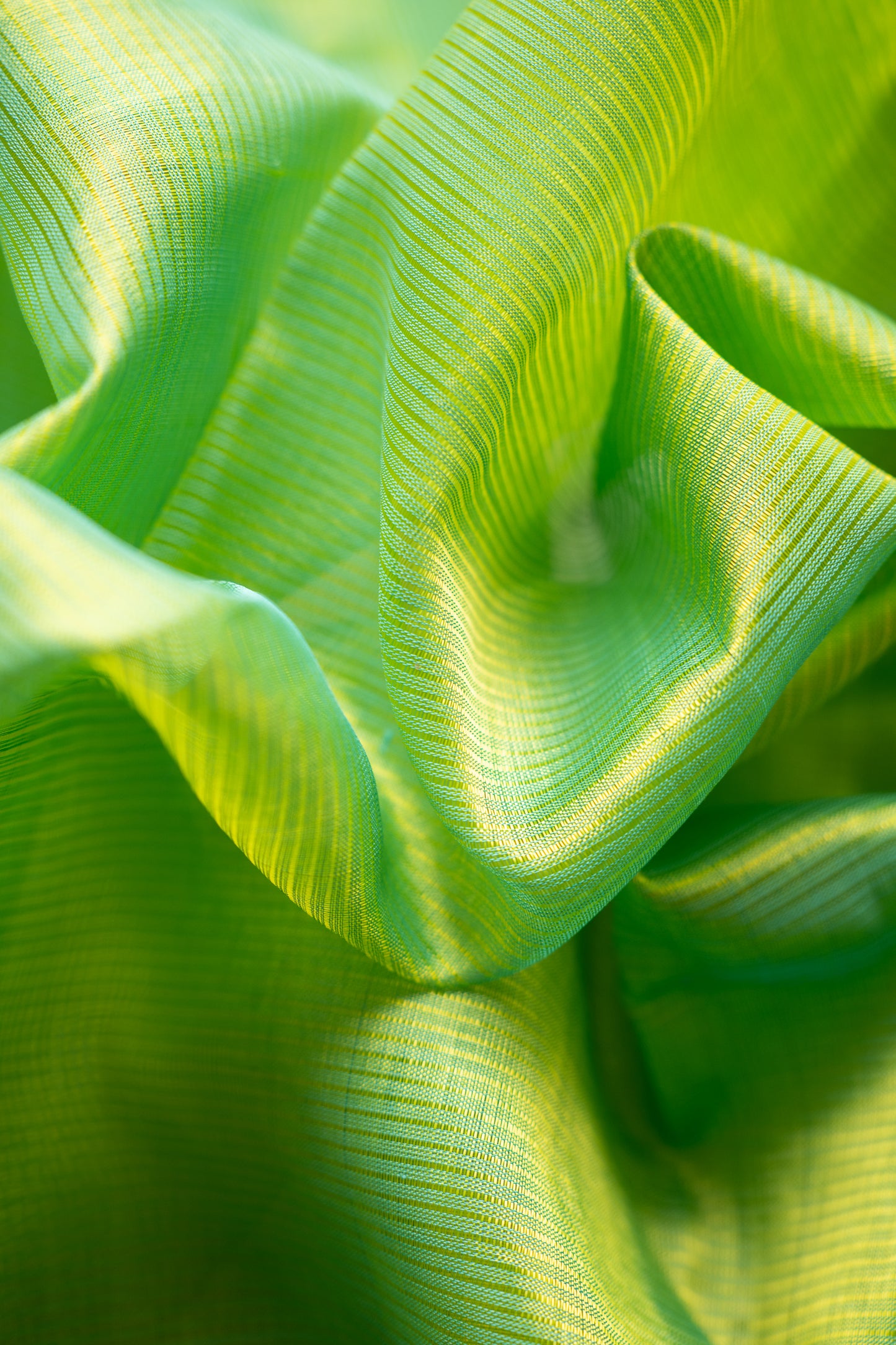 Bright Fern Green Mangalgiri Silk Cotton Saree with Silver Zari Striped Pallu and Border