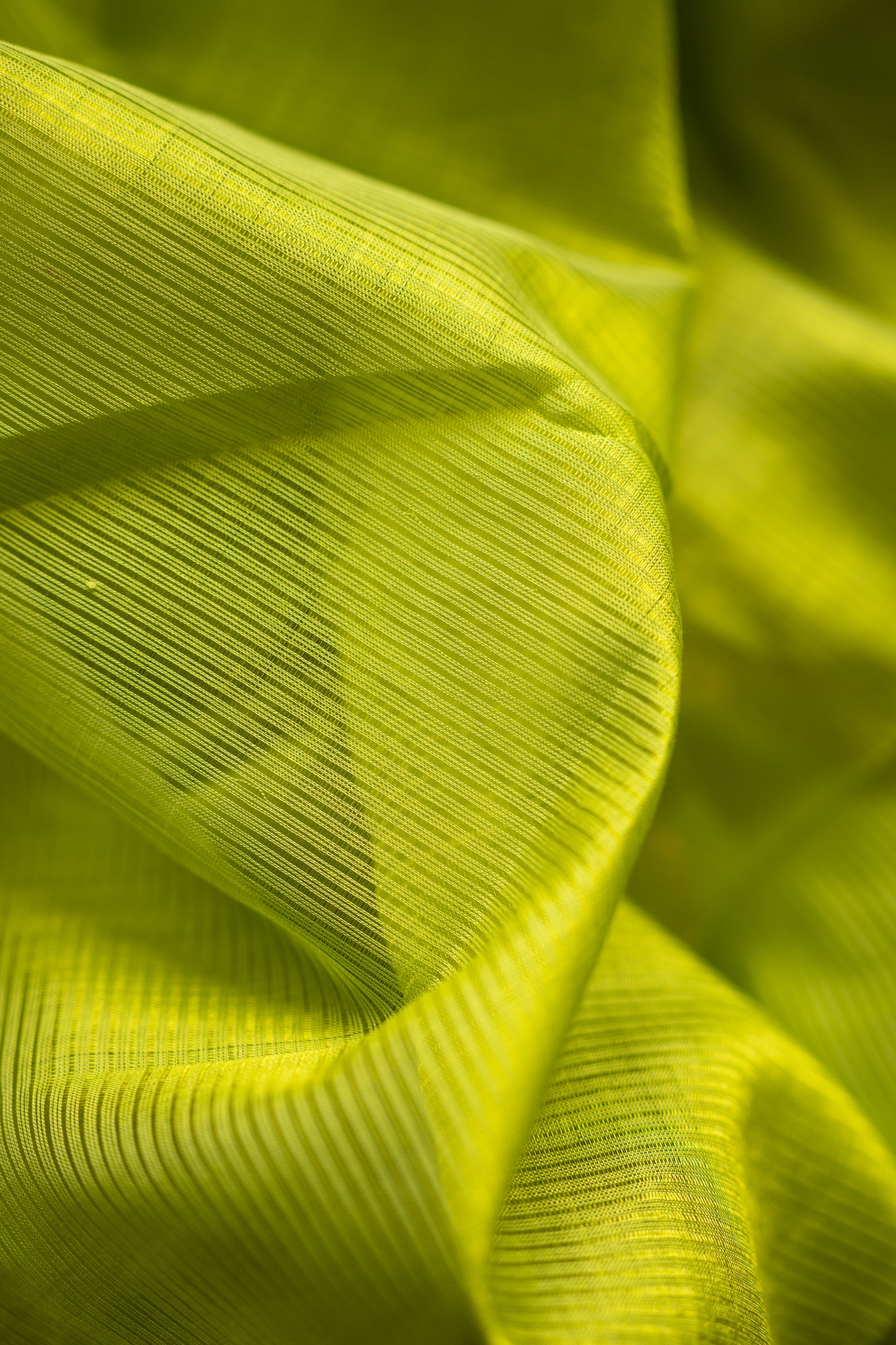 Lime Green Mangalgiri Silk Cotton Saree with Gold Zari Striped Pallu and Border