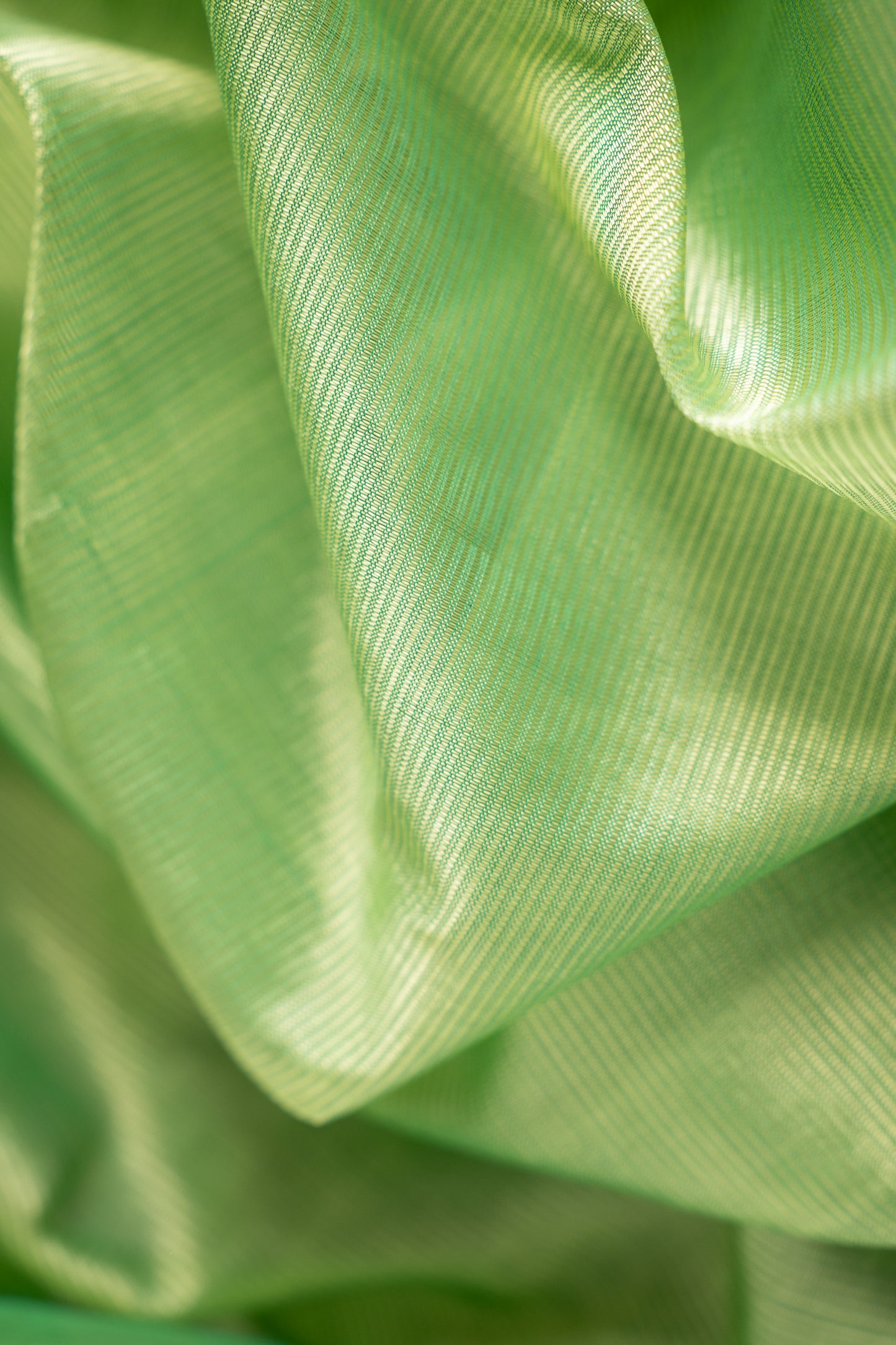 Light Green Plain Mangalagiri Silk Cotton Saree