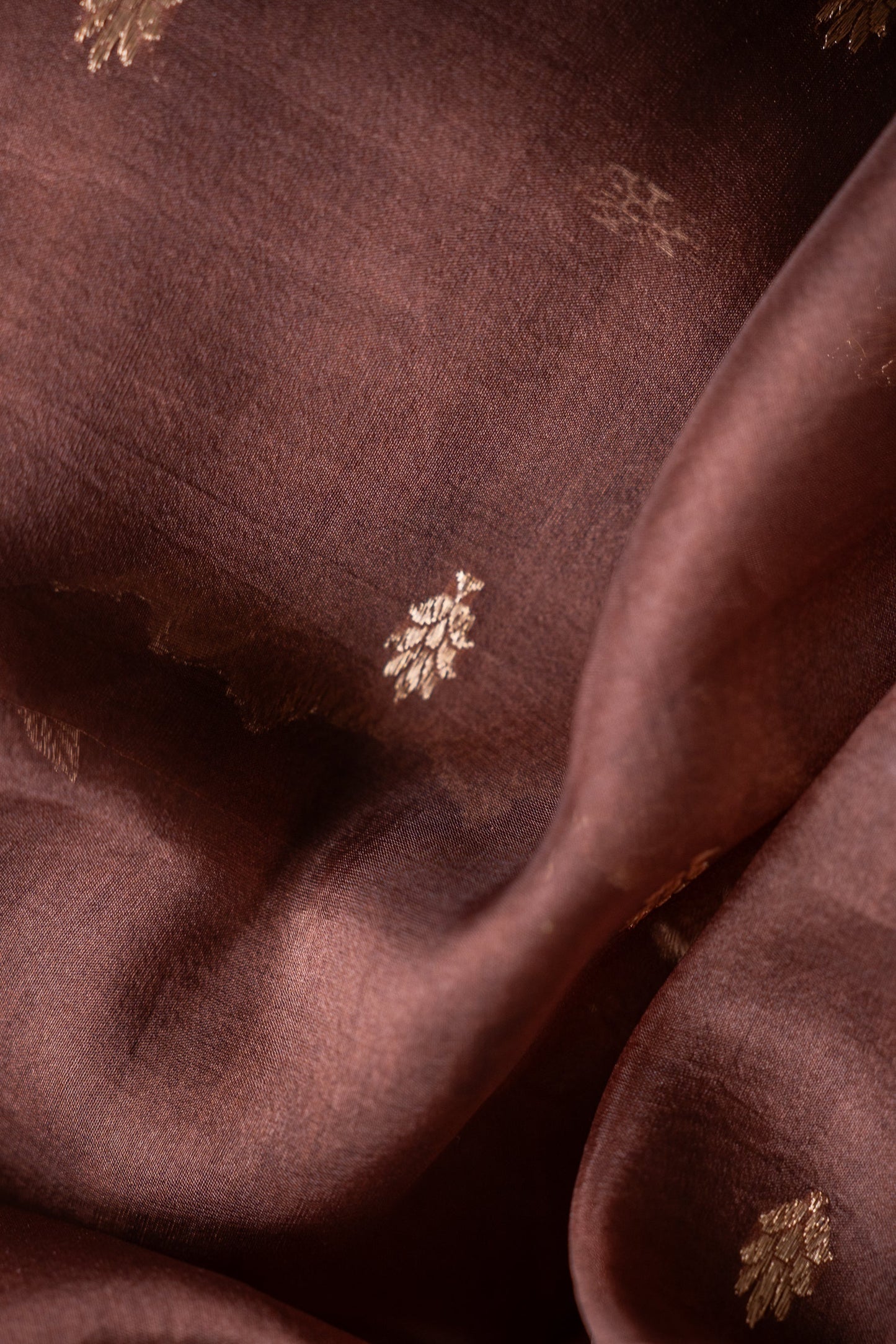 Chocolate Brown Banaras Organza with Floral Zari Border Saree