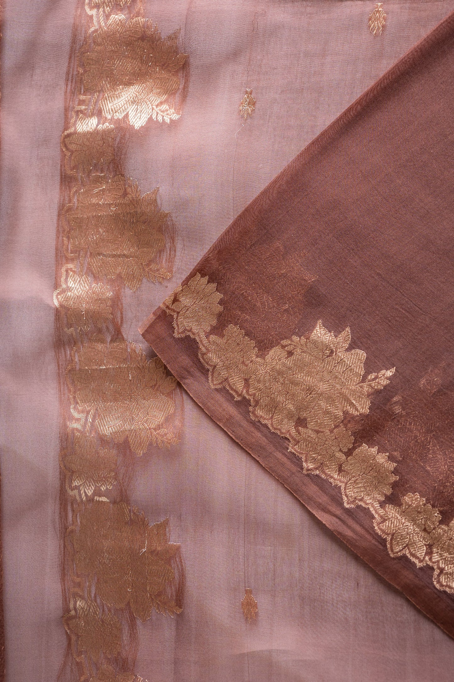 Chocolate Brown Banaras Organza with Floral Zari Border Saree
