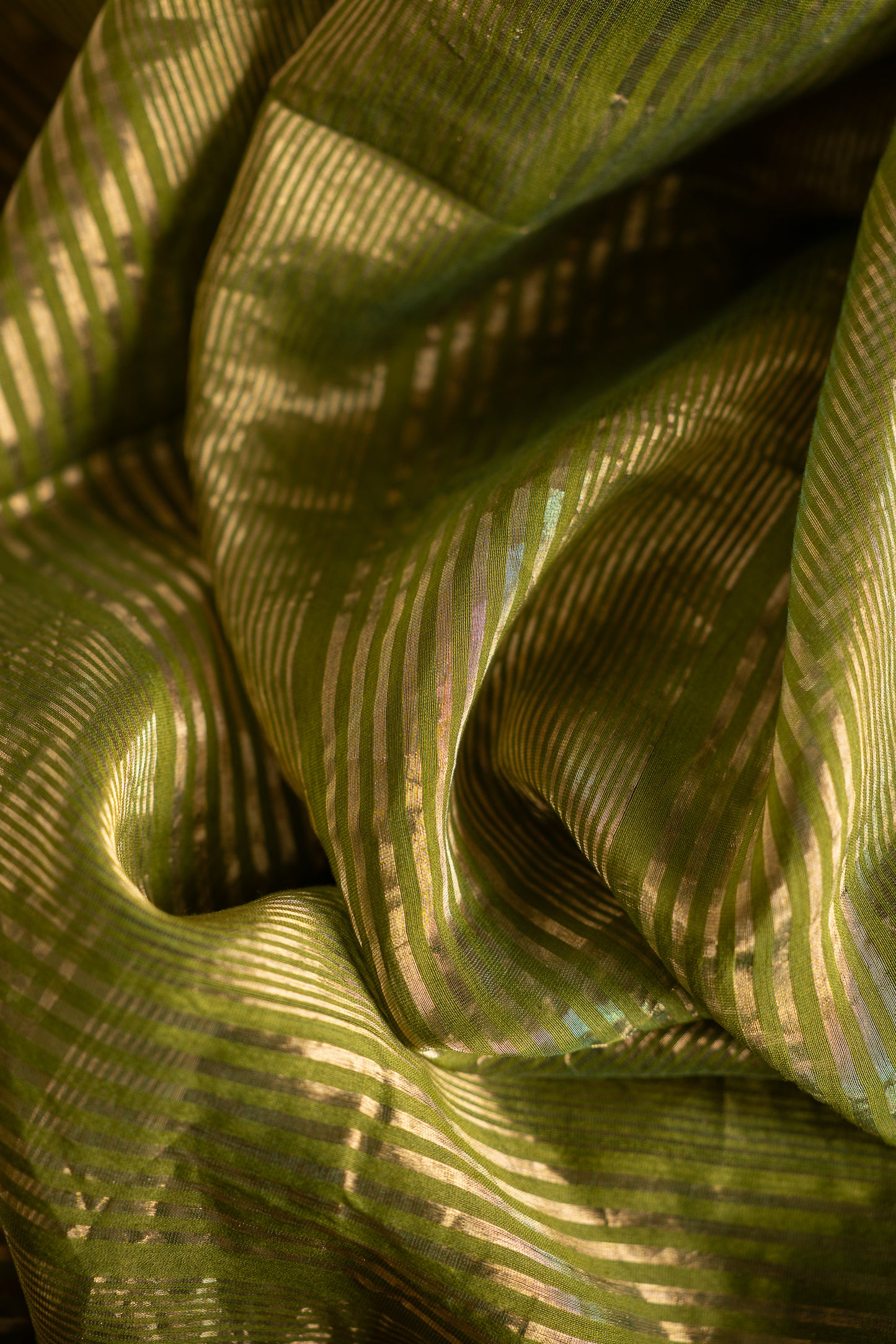 Olive Green Silk Cotton with Bandhani Pallu Saree
