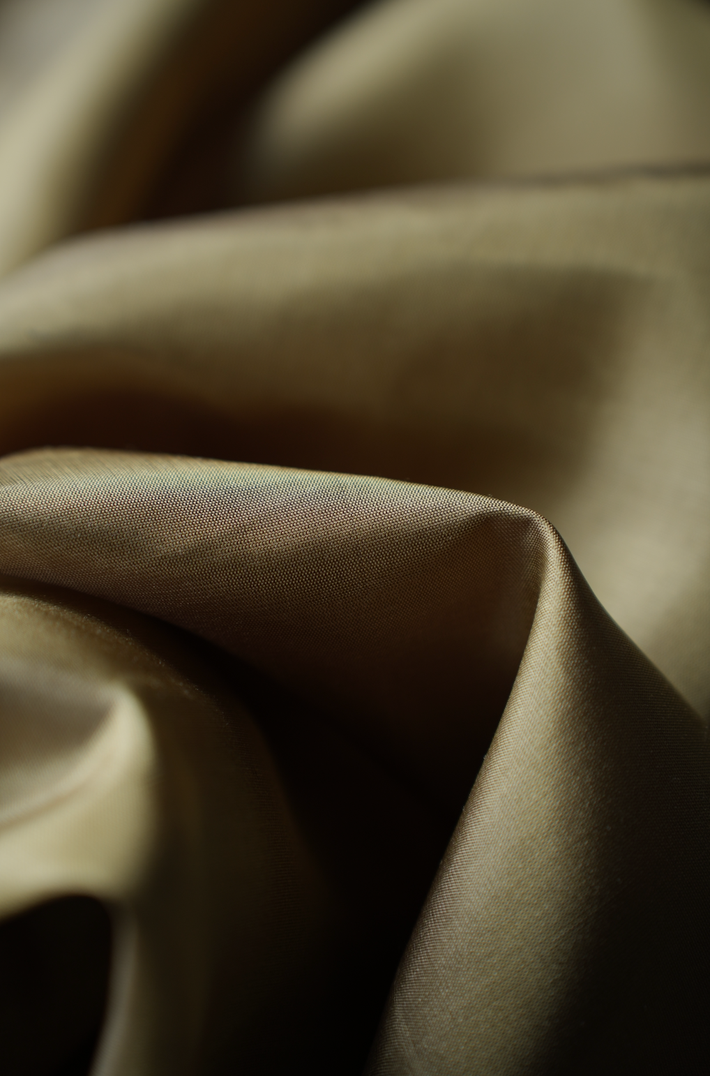 Dark Beige Kanjivaram Silk Saree with Multicolour Thread Work Border
