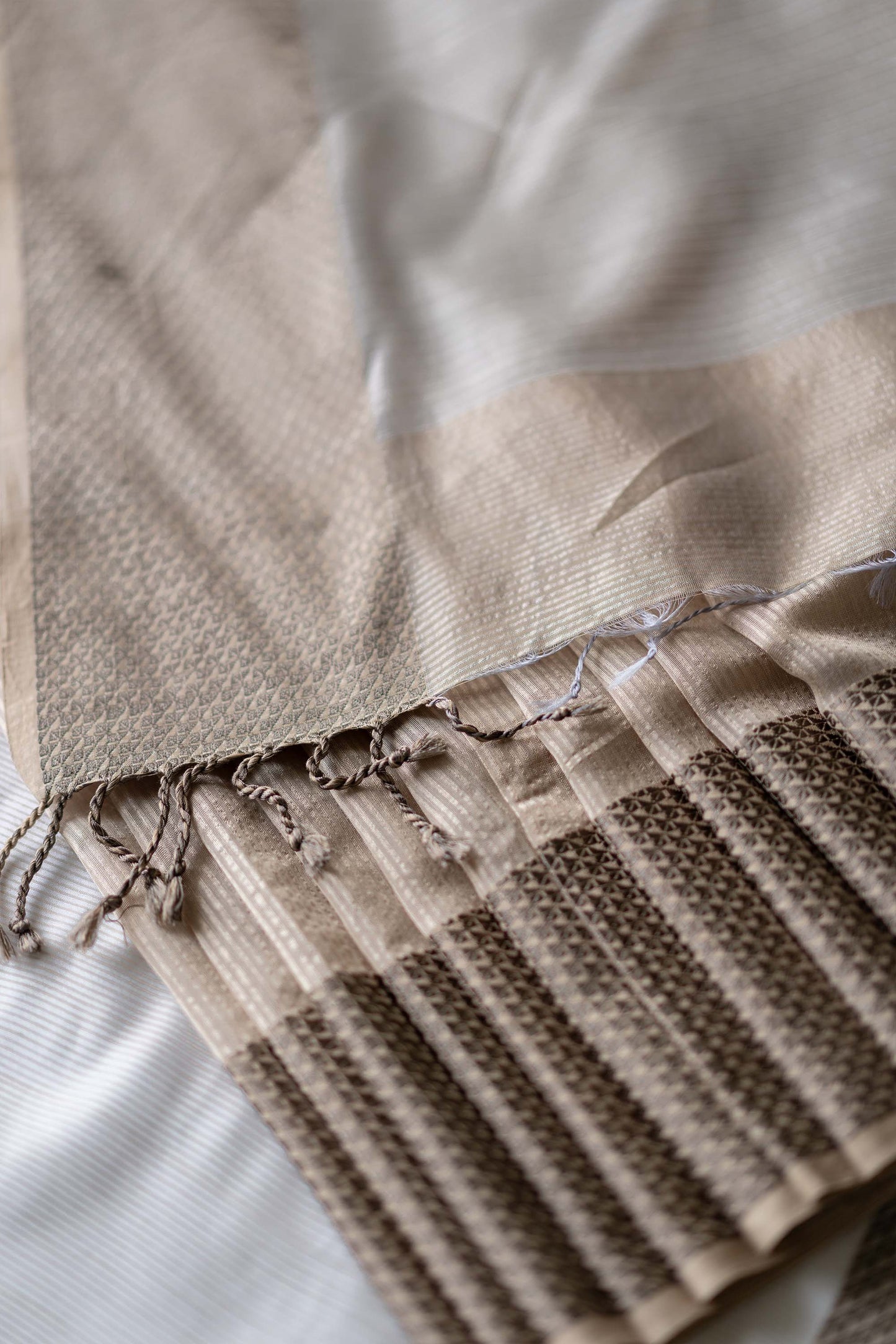 Gold Beige with Rassa Border Silk Cotton Saree