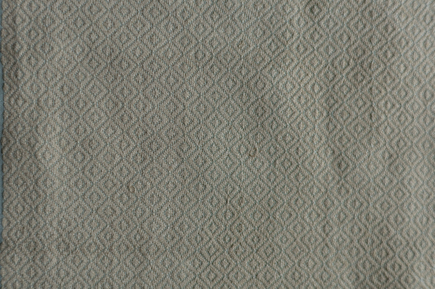 Sea Green Silk Cotton Tissue Khapa Border Abstract Pallu Saree