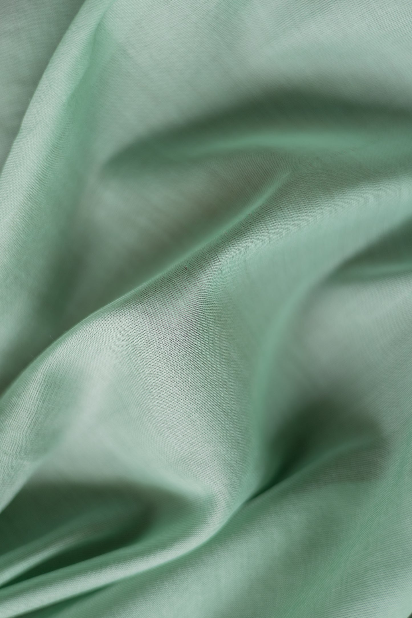 Light Green Silk Cotton with Gold and Silver Border Saree