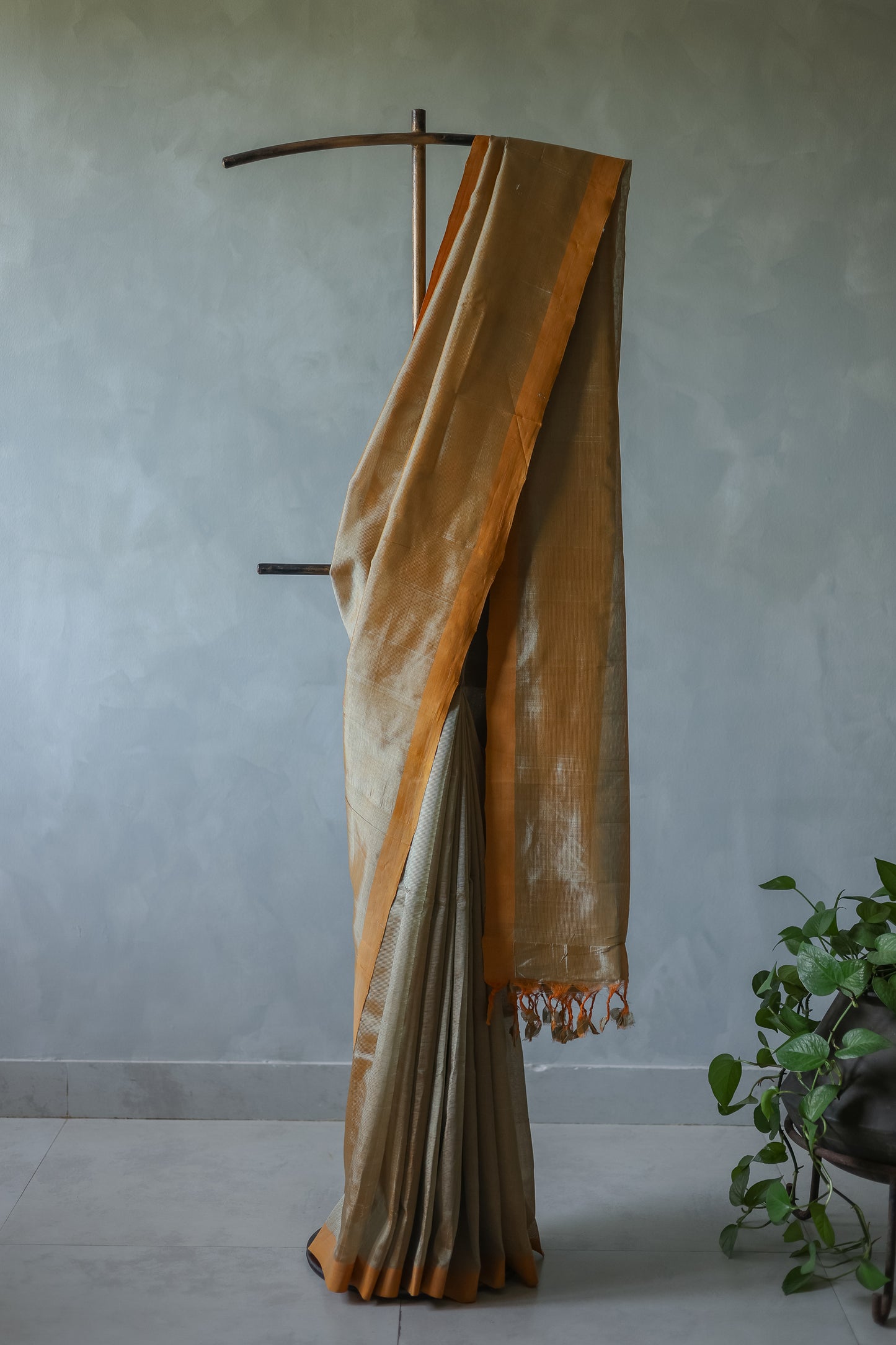 Grey and Sandal Border Silk Cotton Saree