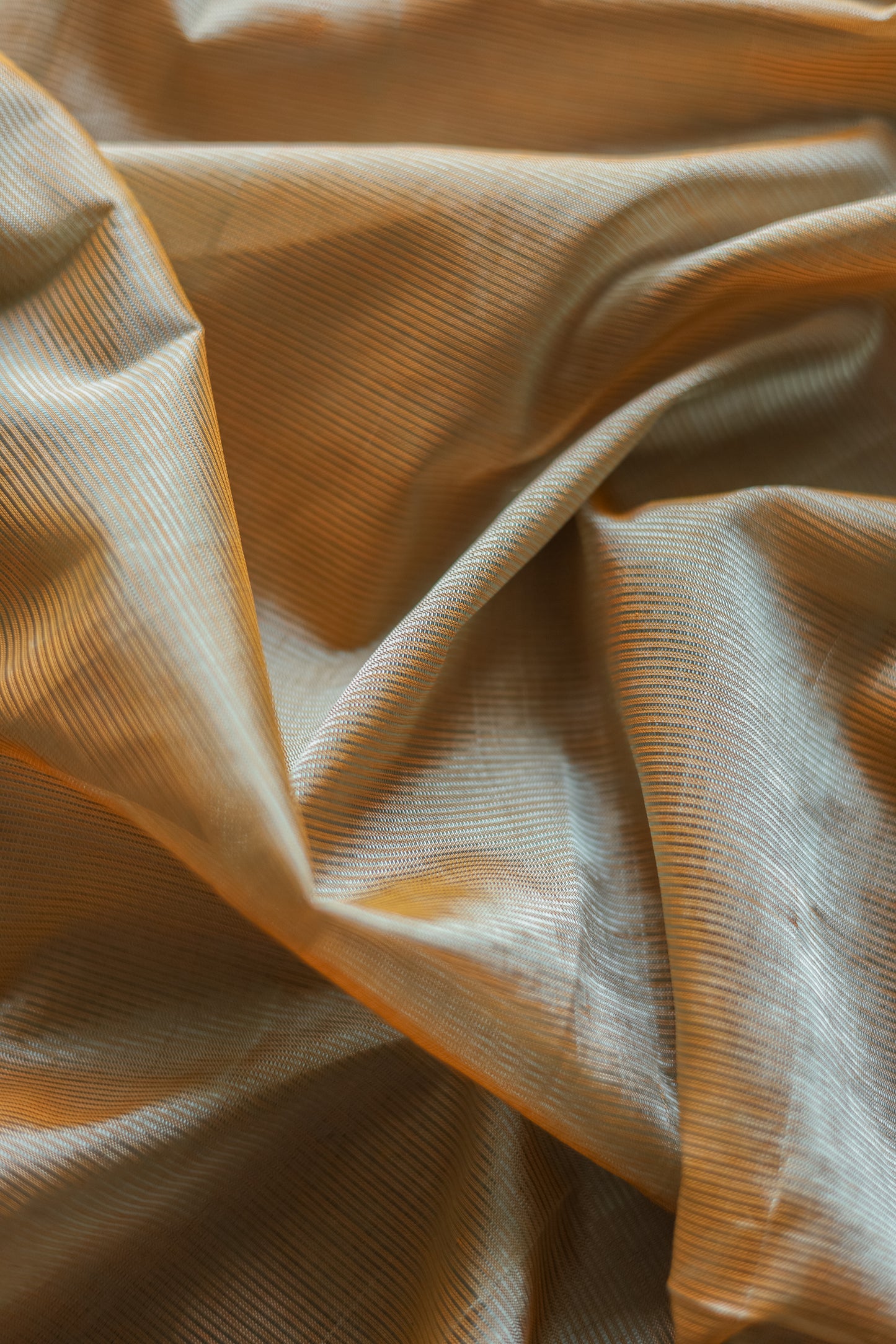 Grey and Sandal Border Silk Cotton Saree