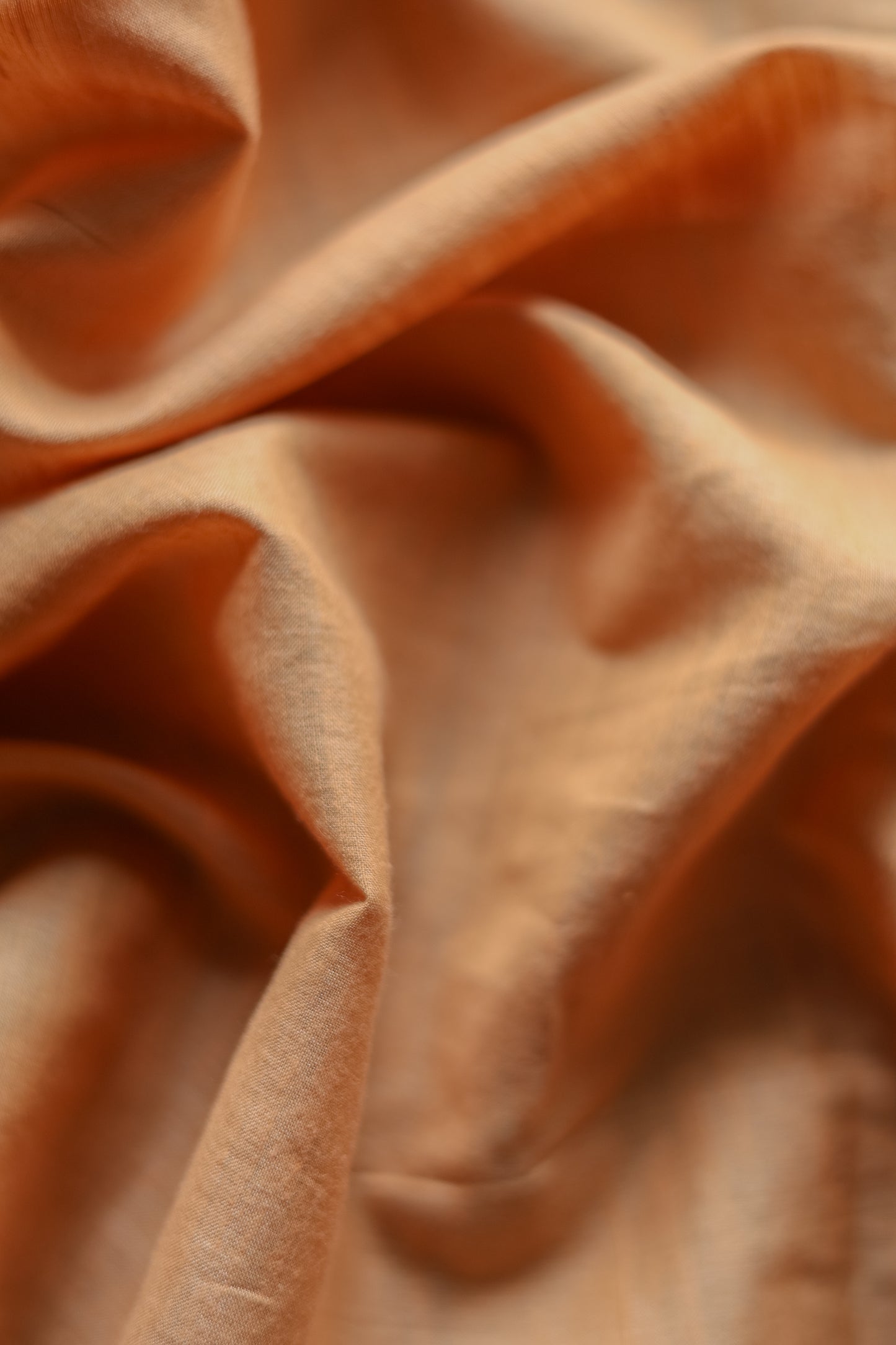 Light Brown Silk Cotton Plain Body with Zari Border Saree