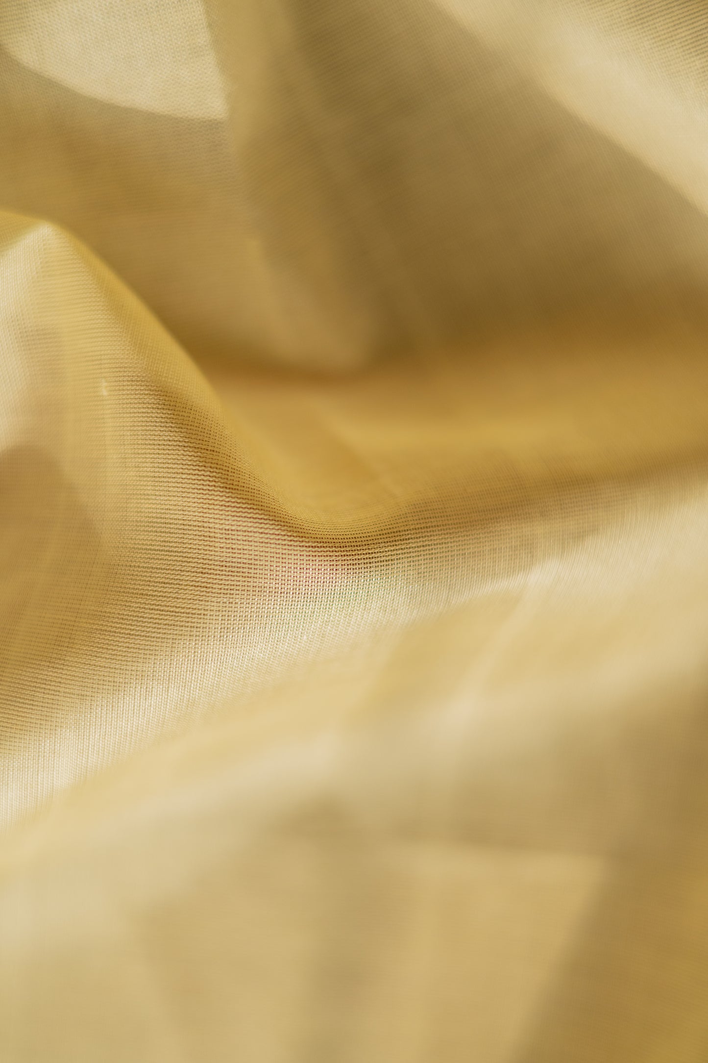 Off White Silk Cotton with Big Yellow and Green Border Saree