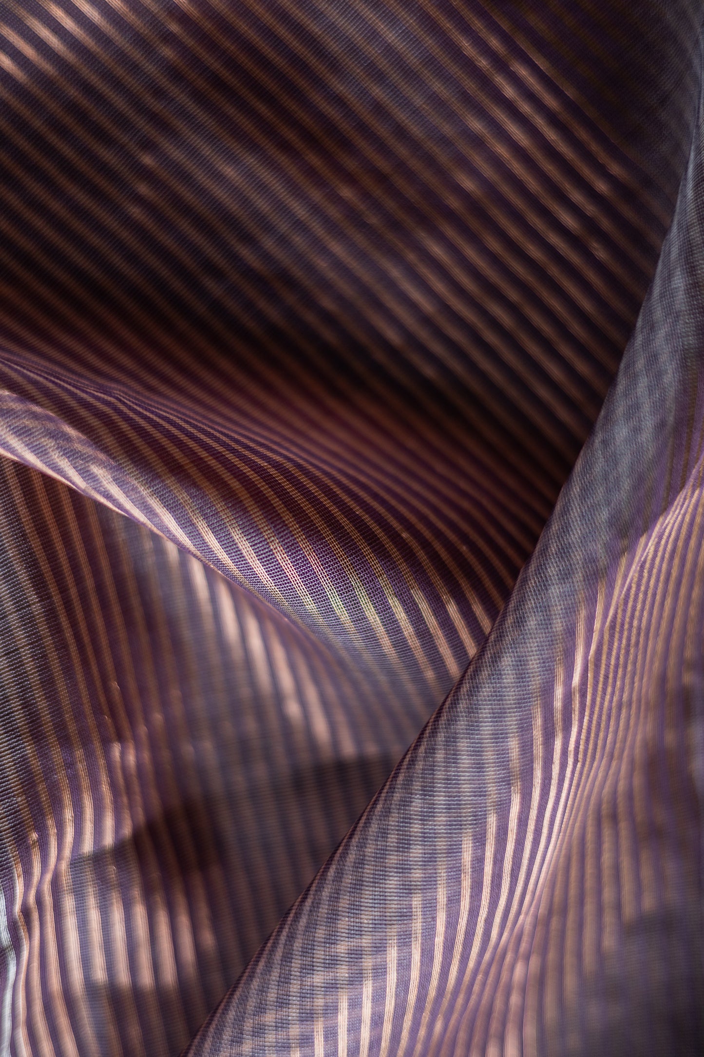 Purple All Over Stripes Silk Cotton Saree