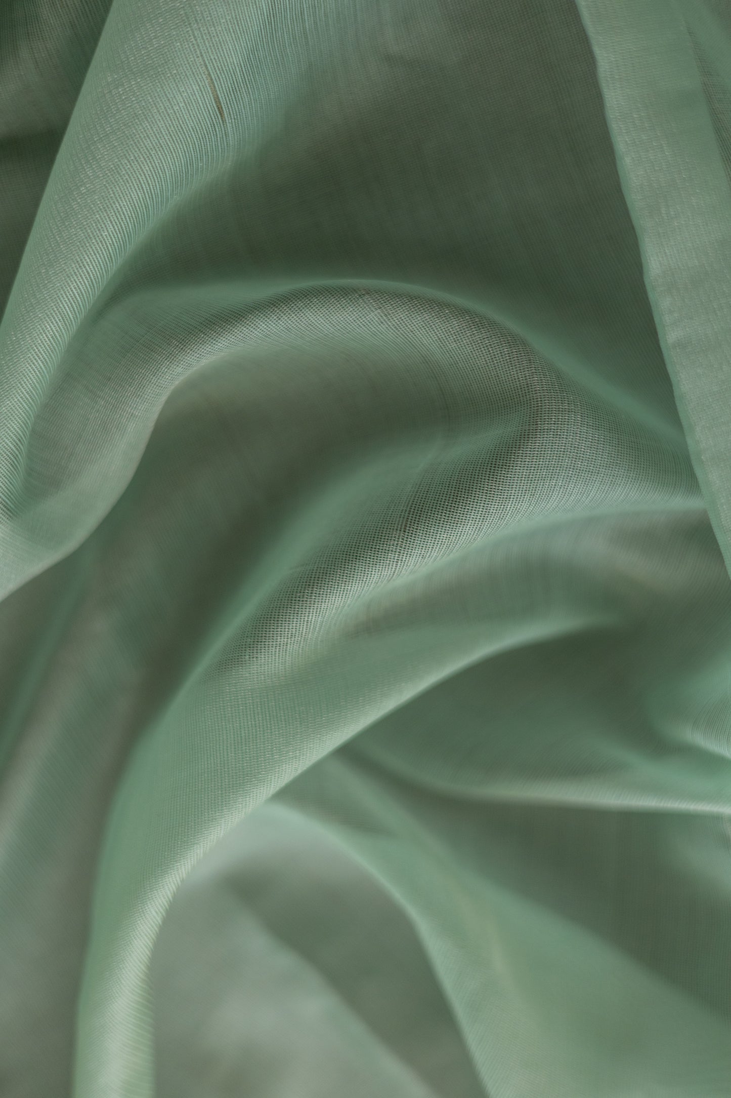 Sea Green Silk Cotton Tissue Big Temple Border Saree