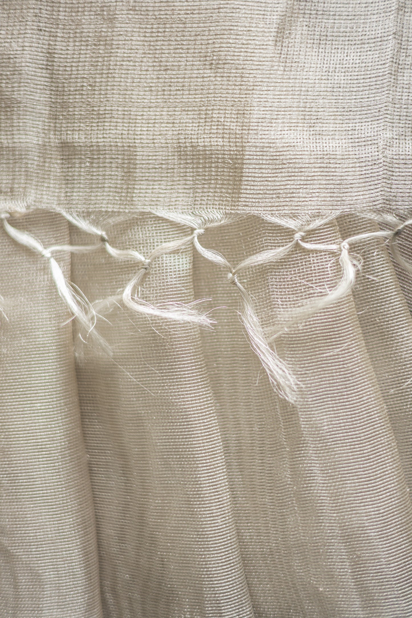 Silver with Blue Border Tissue Organza Saree