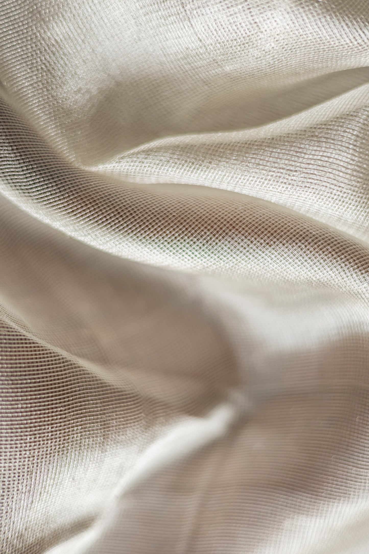 Silver with Blue Border Tissue Organza Saree