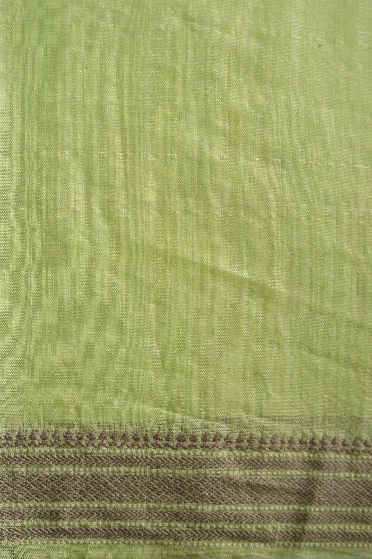 Light Green Silk Tissue with Dobby Border Saree