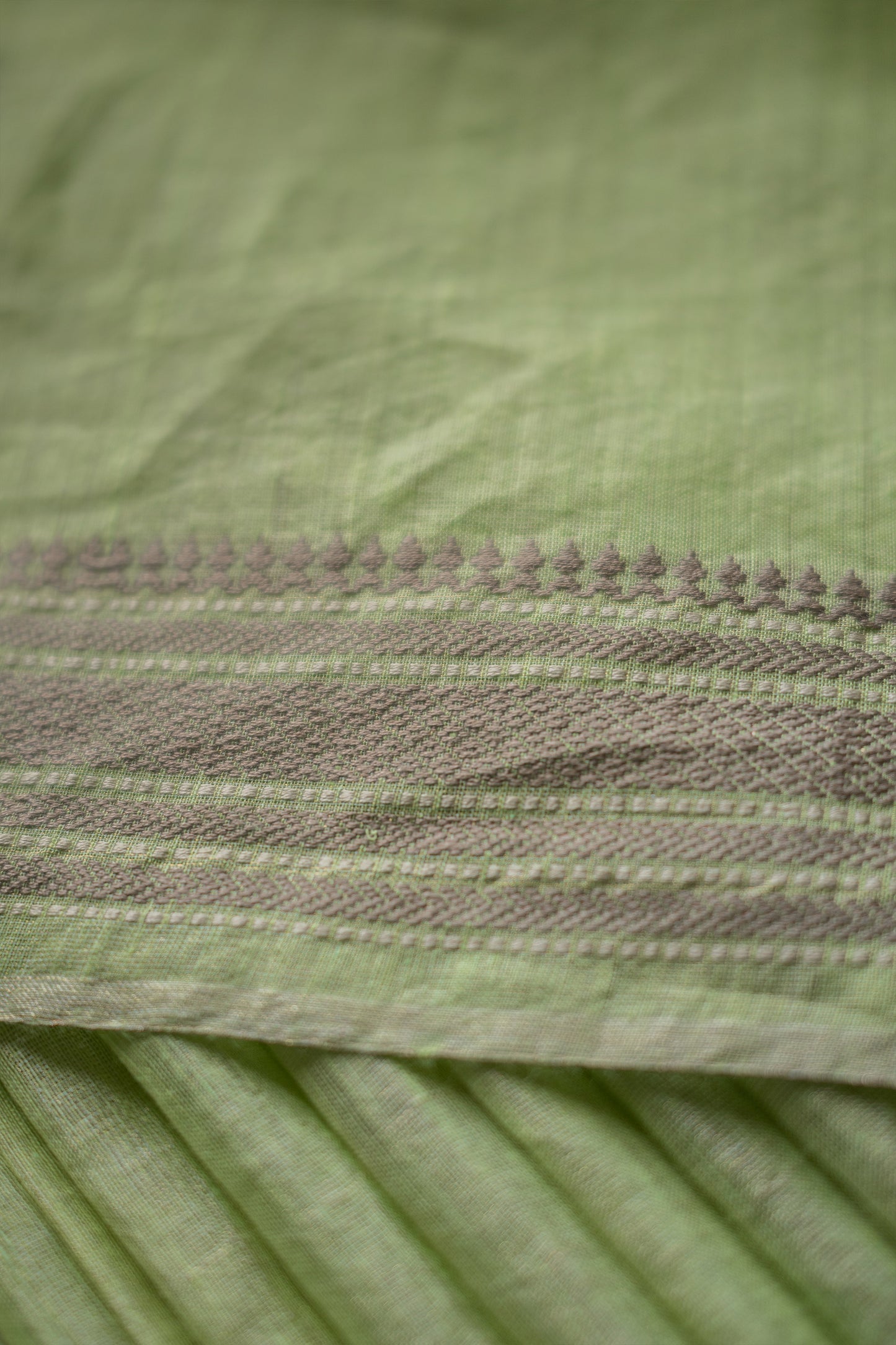 Light Green Silk Tissue with Dobby Border Saree