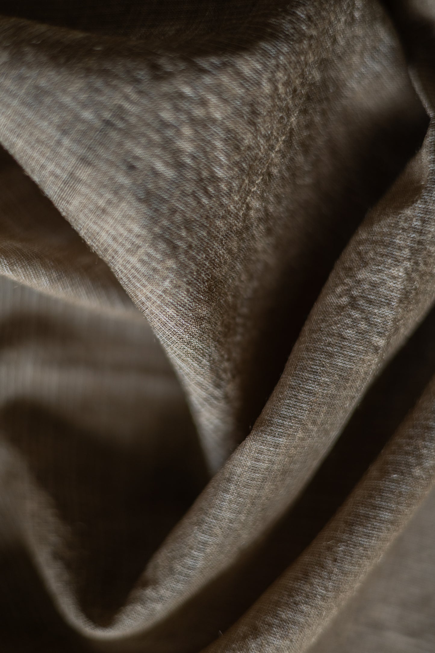 Dark Brown Tussar Muga with Beige Pallu Saree