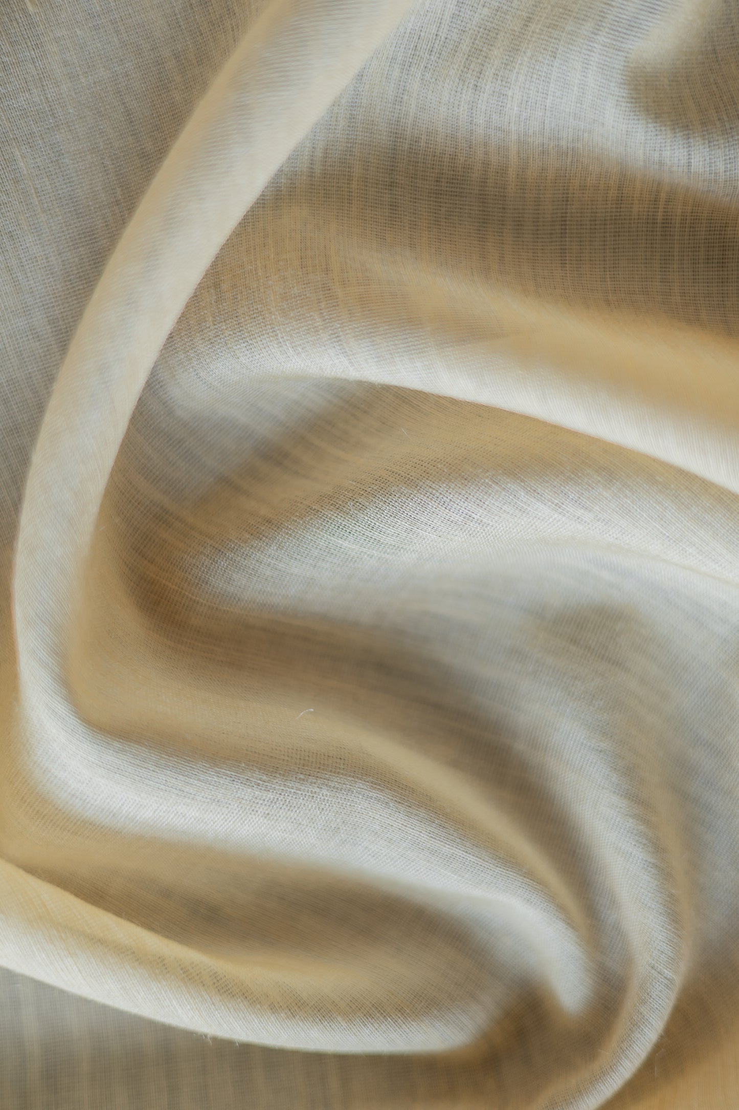 Off White Tussar muga Plain Body with Gold Border Saree