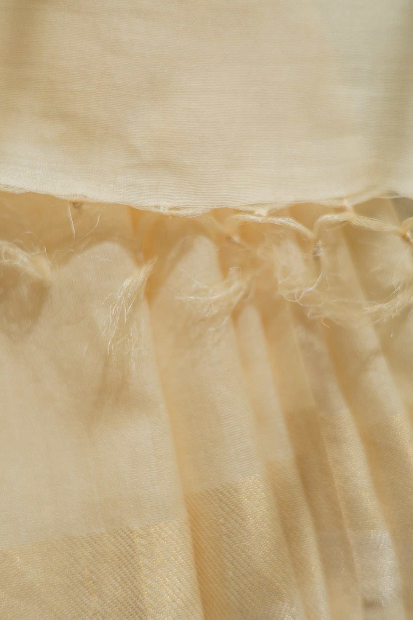 Off White Tussar Muga with Gold and Silver Border Saree