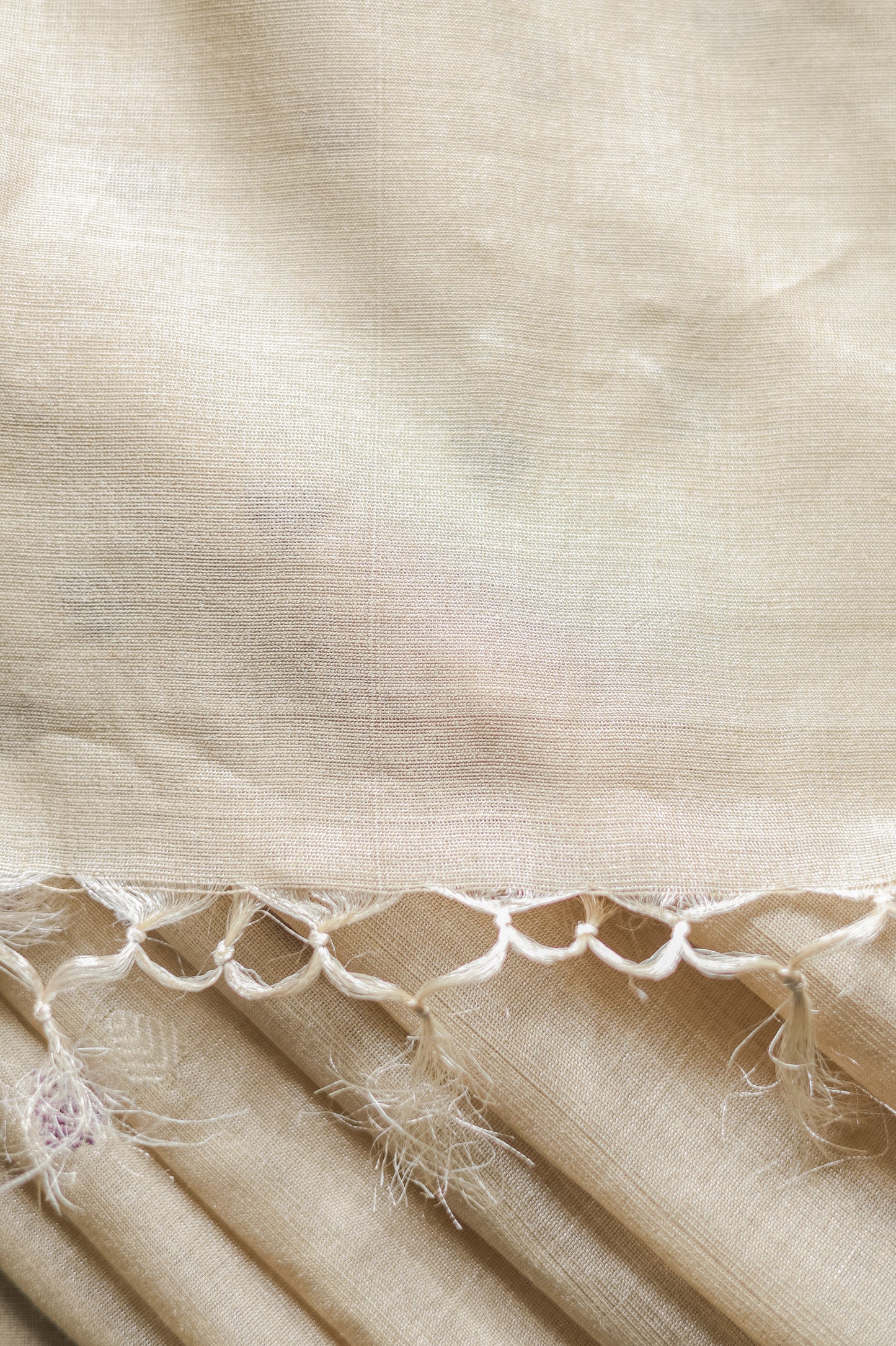 Beige Tussar Muga Tissue with Purple and White Leaf Motif Saree