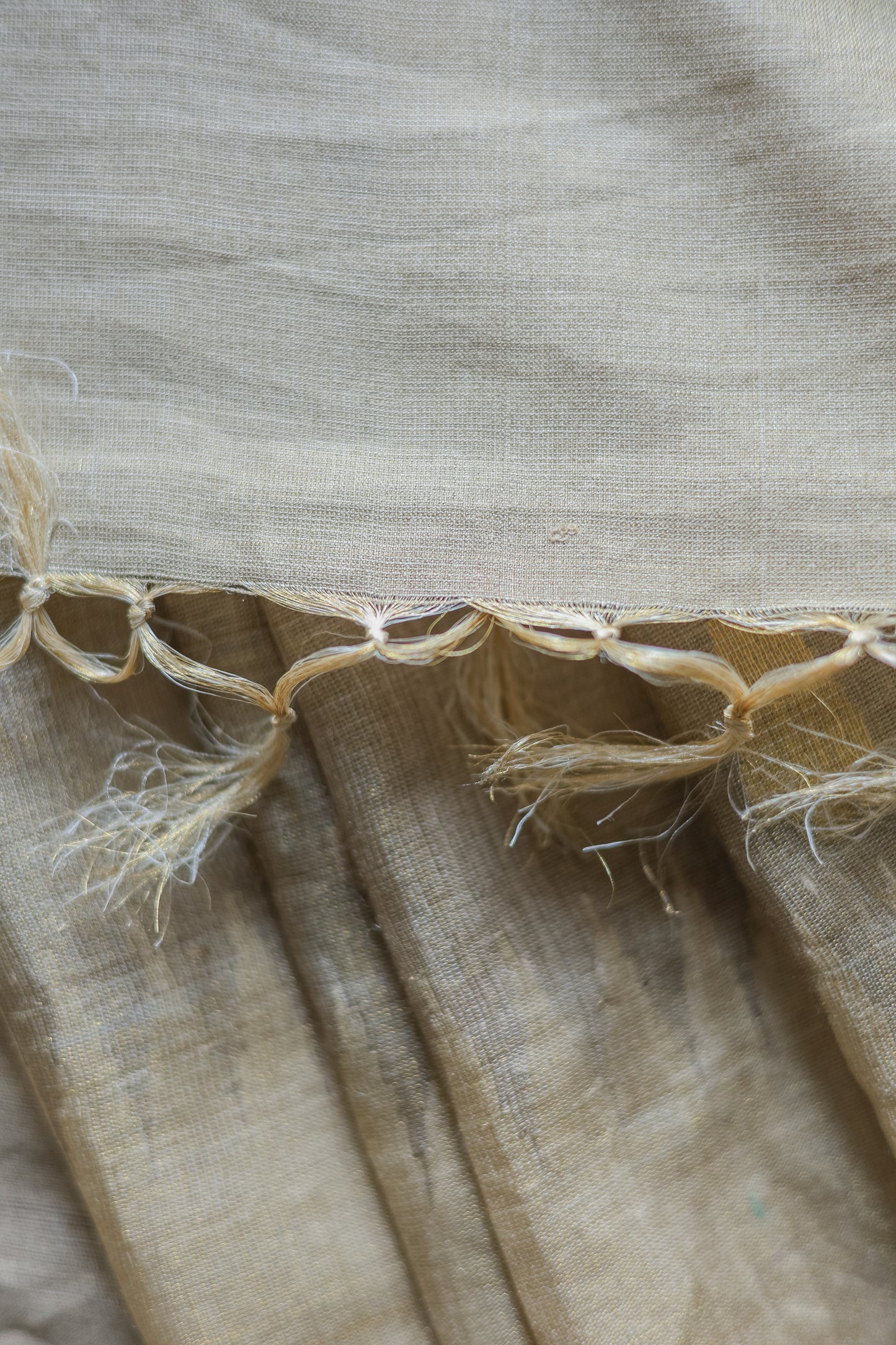 Light Brown Tussar Moonga Tissue with Leaf Motif Saree