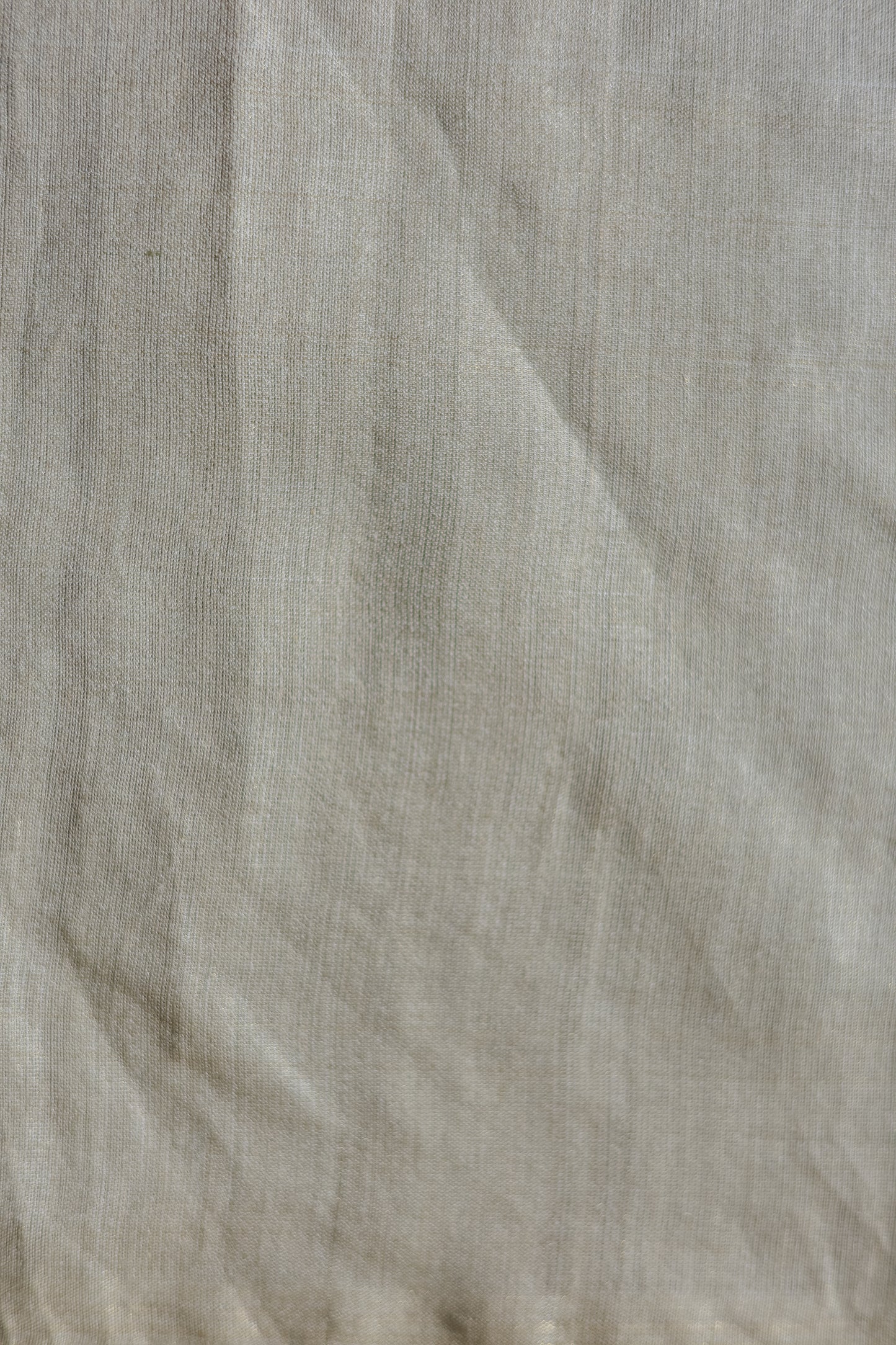 Light Brown Tussar Moonga Tissue with Leaf Motif Saree