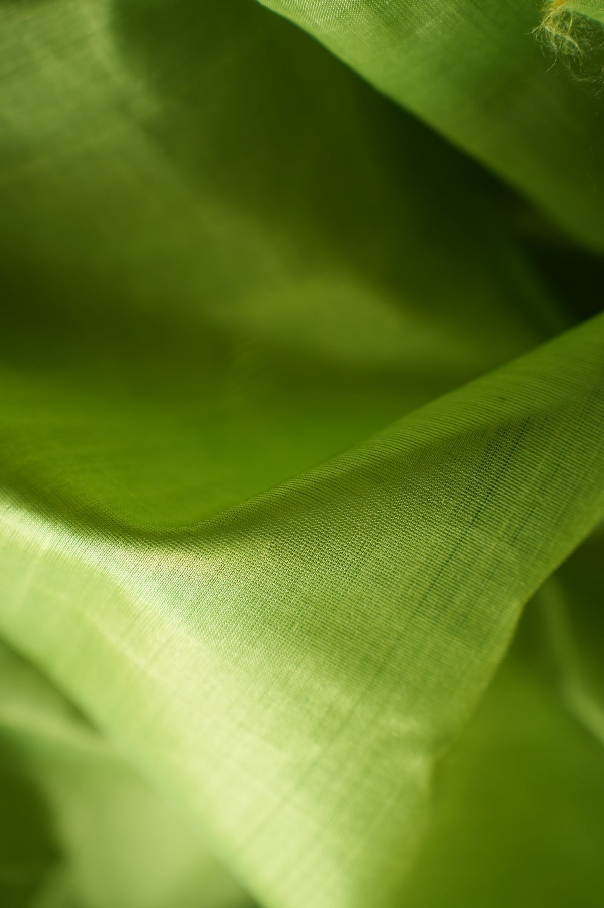 Parrot Green Plain Mangalagiri Silk Cotton Saree