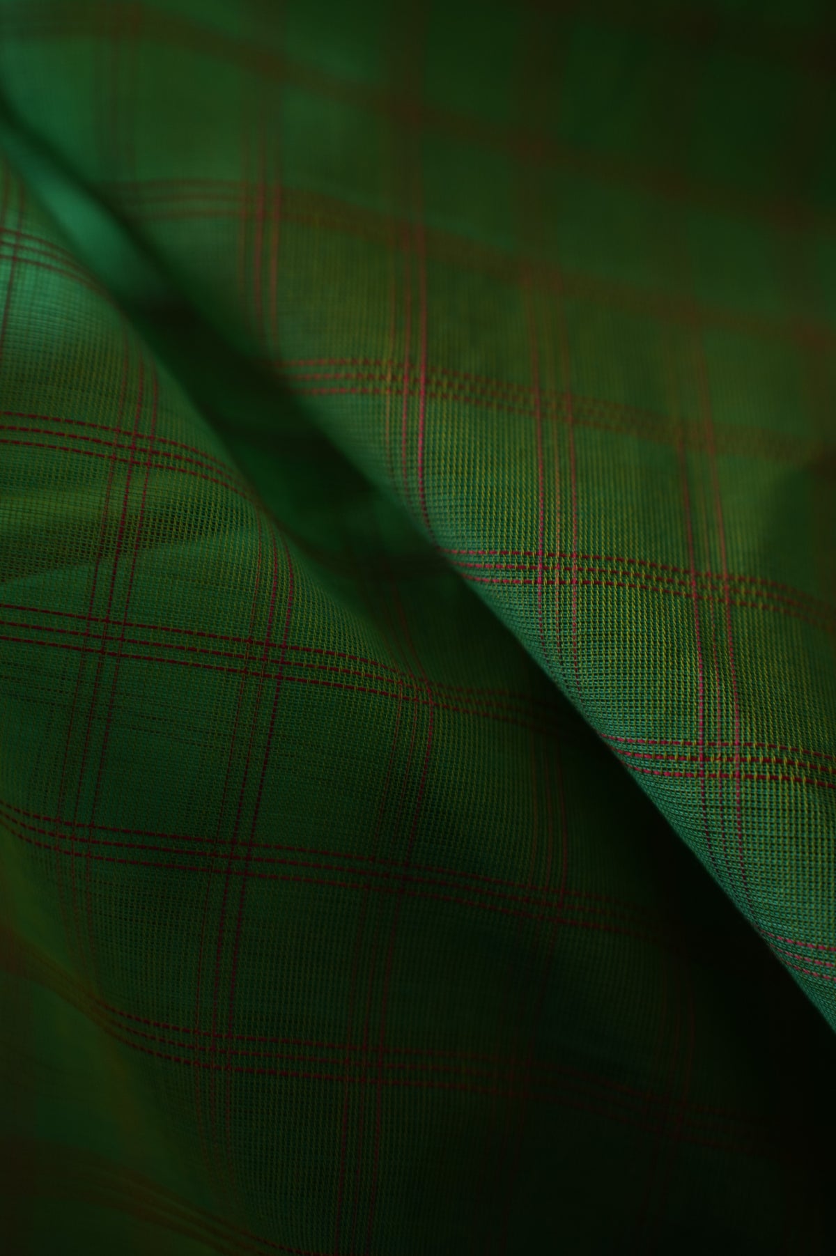 Deep Green Kanchi Cotton With Deep Pink And Blue Border Saree