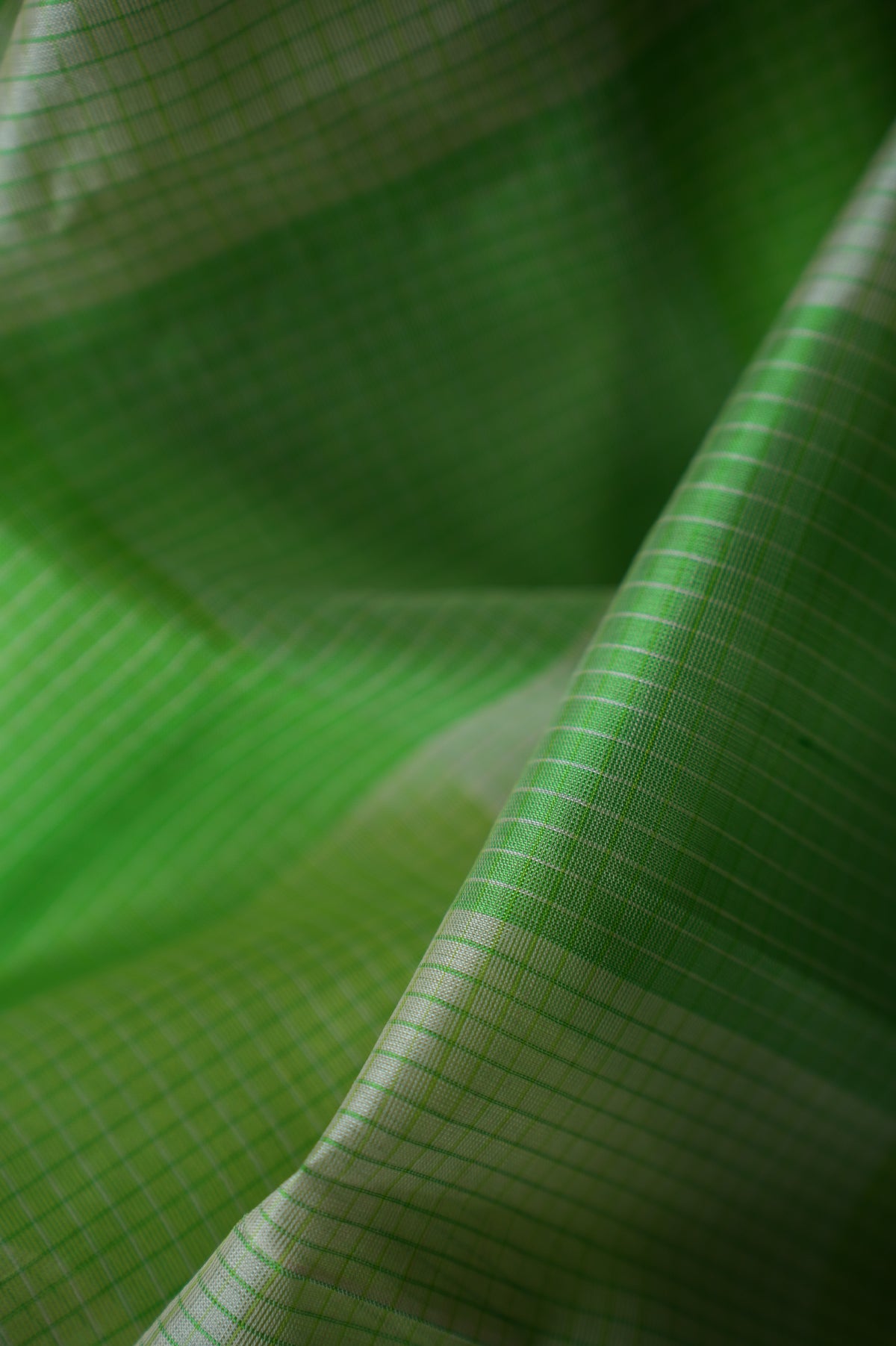Parrot Green and Beige Mangalagiri Silk Cotton with Silver Zari Border Saree