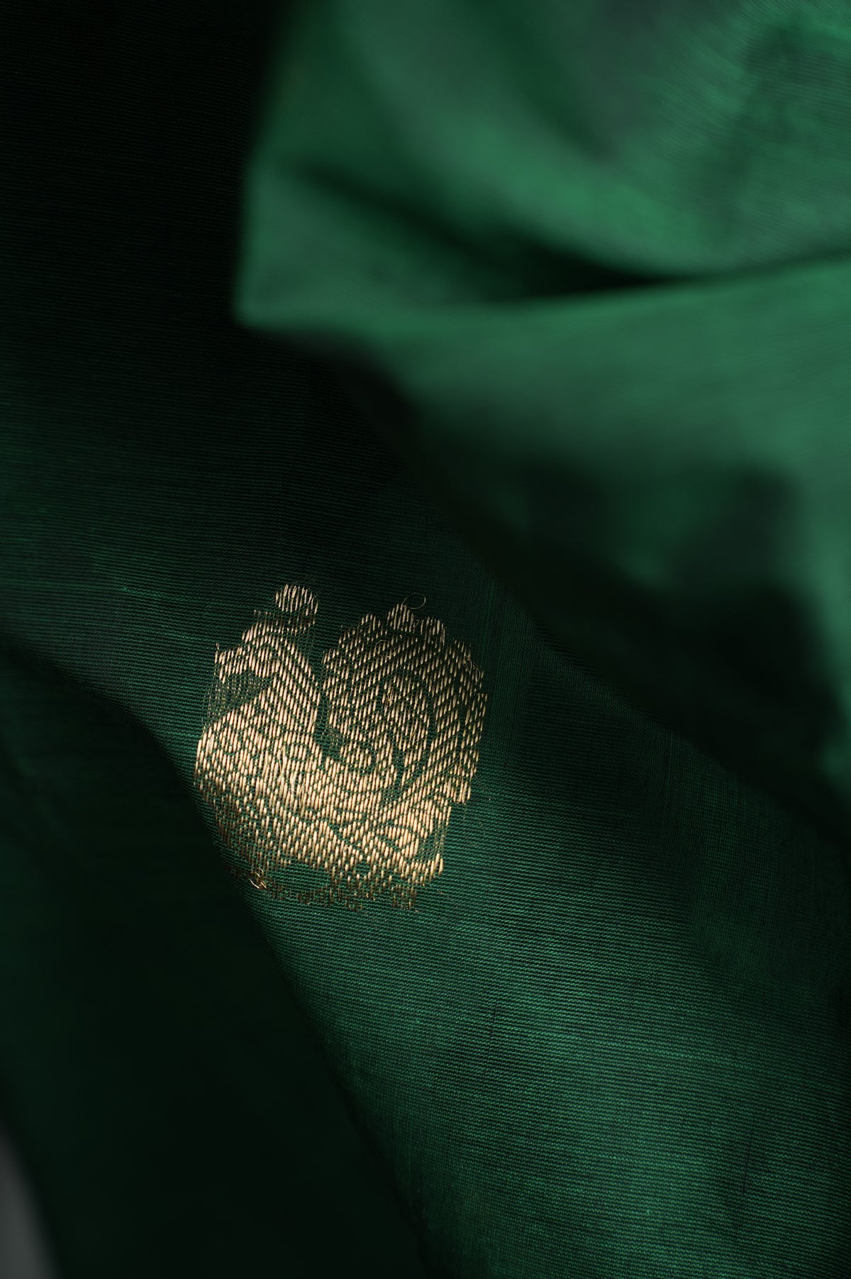 Bottle Green Kanchi Cotton With Gold Zari Border Saree
