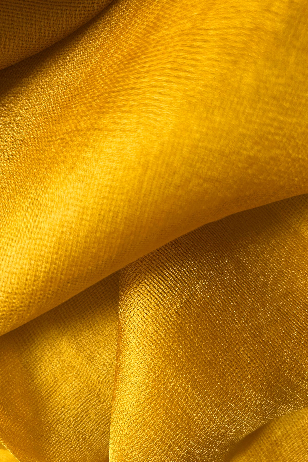 Mustard Yellow Leno Silk Organza Saree