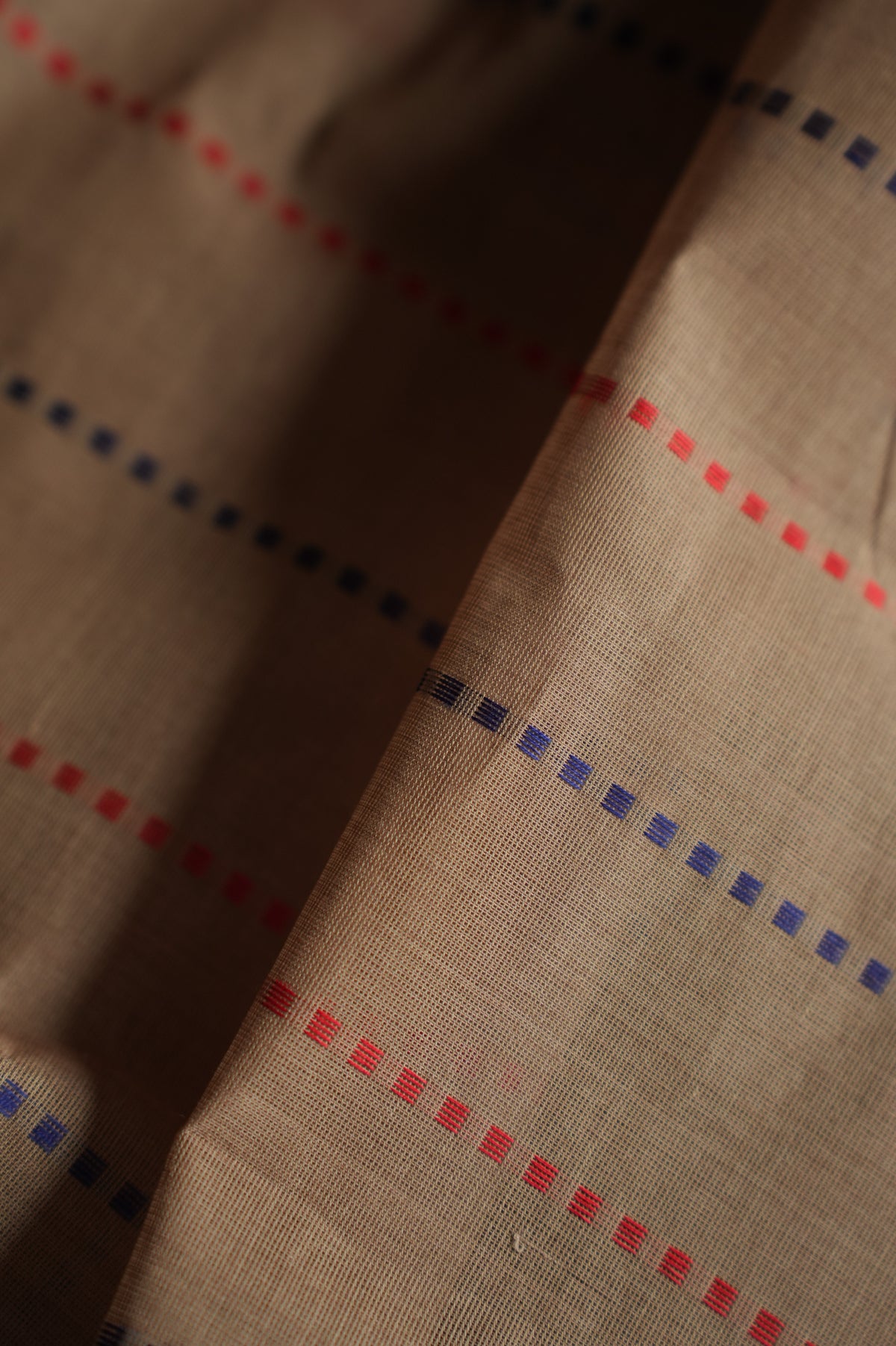 Earthy Beige Kanchi Cotton with Red and Dark Blue Border Saree