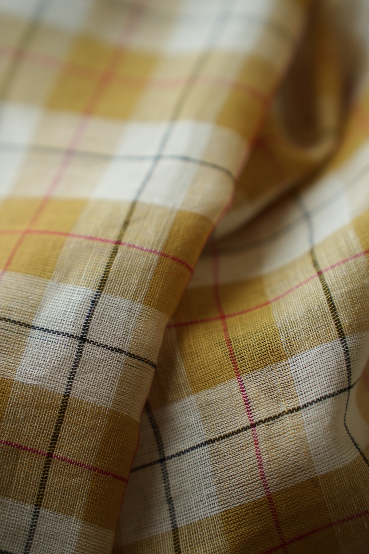 Ivory Checks Cotton with Red Border Saree