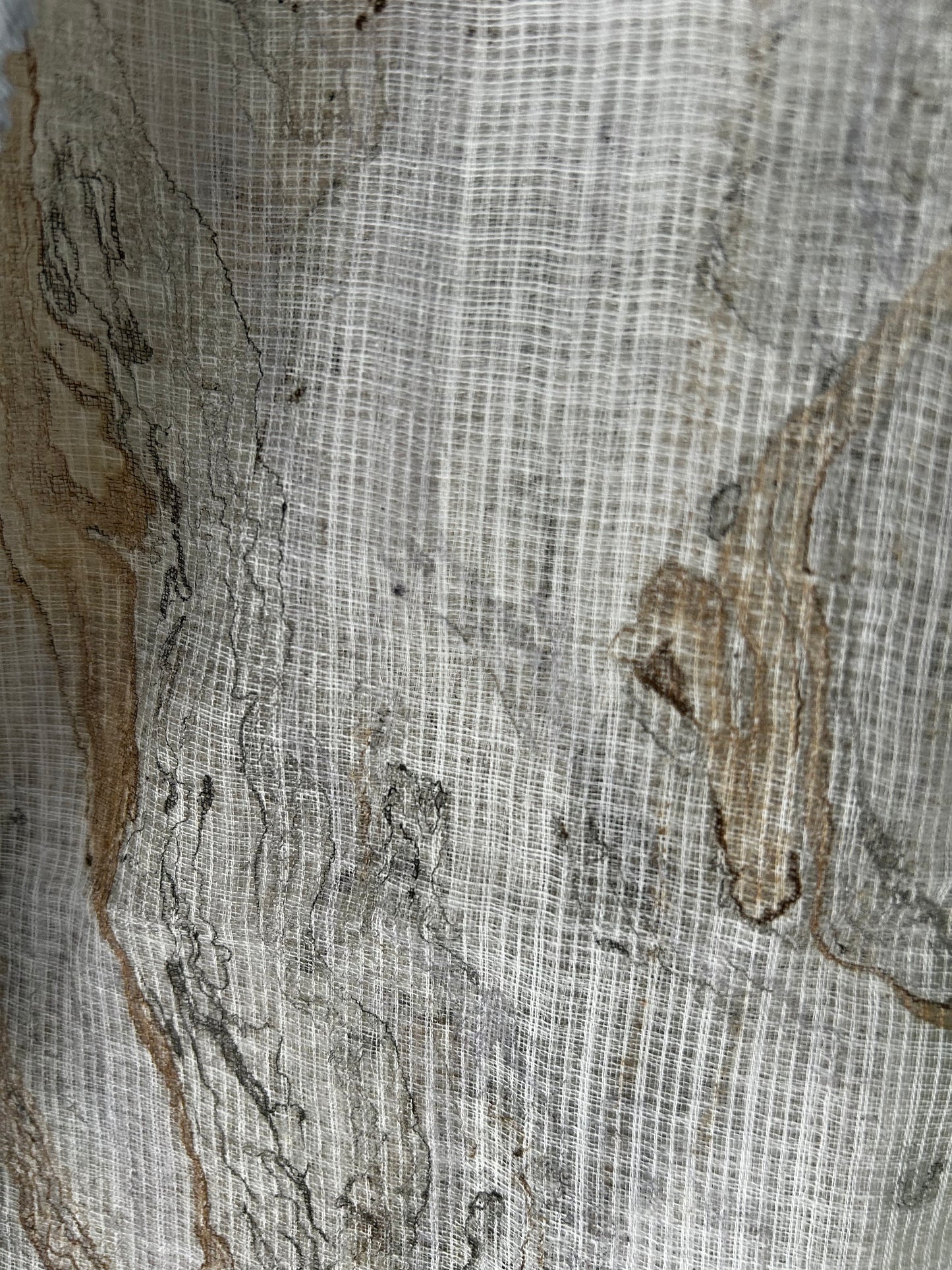 Grey Blue Hand-Painted Marbled Kota Cotton Saree with Delicate Lace Trim