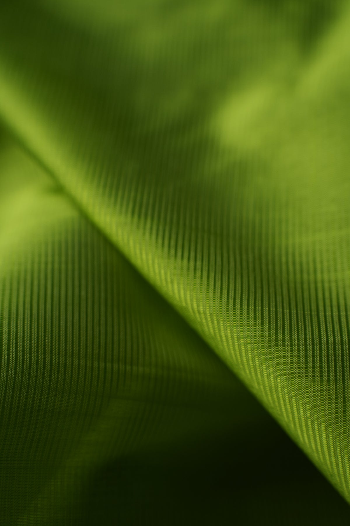 Lime Green Mangalagiri Silk Cotton Saree with Purple and Gold Zari Border